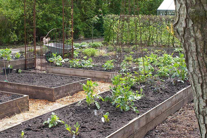 drie moestuinbakken tegenover een lange moestuinbak